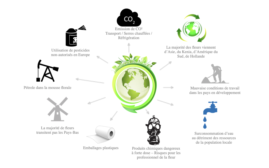 graphique_pourquoi_eco_fleuriste